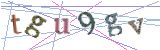 숫자3,영문자v,영문자w,영문자h,숫자5,숫자8