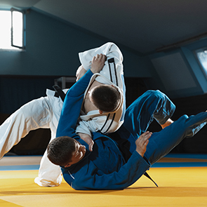 주짓수전공(스포츠학부)